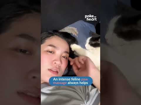 Woman Gets Head Massage From Pet Cat