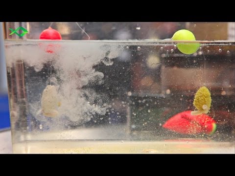 ANSPO 2012 - Neuheiten von Fishing Tackle Max mit Dirk Glinka, Michael Kahlstadt und Günter Horler