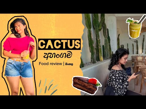 A cafe of පතොක් 🌵| CACTUS Ahangama | Beach | Sri Lanka| Brunch