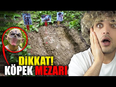 WE FOUND A DOG CEMETERY IN THE FOREST!! - ( ATTENTION! Dog Killer ! ) 😱