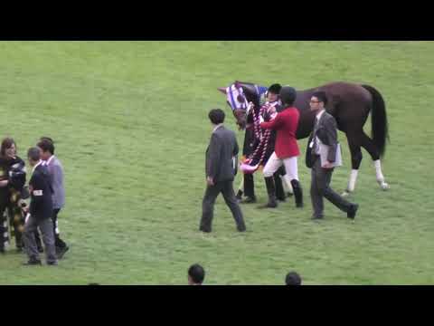 2019 第57回 アルゼンチン共和国杯GⅡ 口取り～表彰式 現地映像  ムイトオブリガード