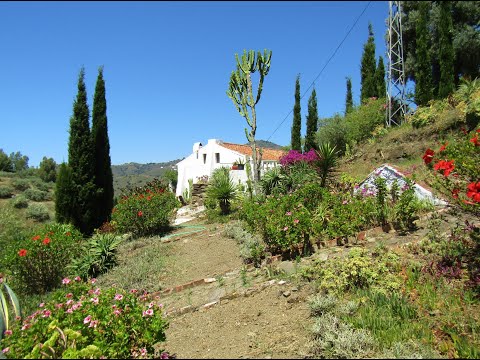 AX1081 - Finca La Molina