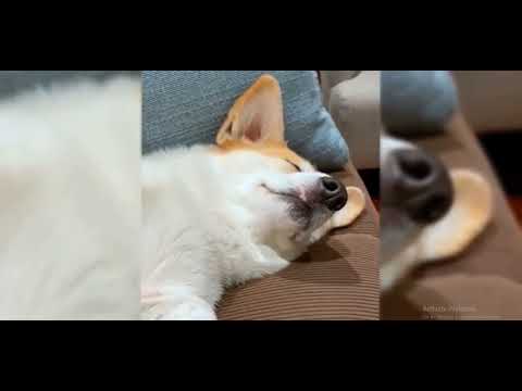 05 09 2025 17 51 42 REC