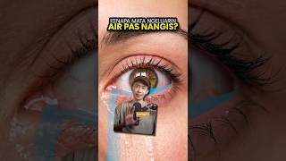 Kenapa Air Keluar dari Bola Mata Kamu Waktu Nangis?
