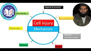 Download Lagu Mechanism of cell injury | Pathology | by Imran Yaseen Thumbnail