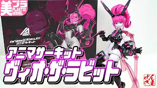 Beautiful Girl Plastic Model Vio the Rabbit Anima Circuit Plastic Model:Anima Circuit Vio The ...