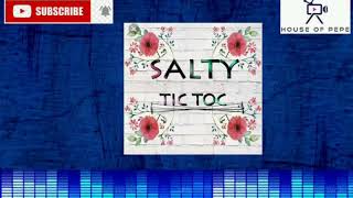 SALTY - TIC TOC (audio)