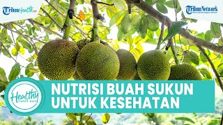 Khasiat Kandungan Nutrisi Buah Sukun Bagus untuk Jantung, Inilah Manfaatnya untuk Kesehatan Tubuh