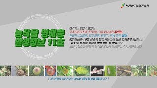 농작물 병해충 발생정보 11호 발표