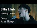 Billie Eilish Everything I Wanted Cove