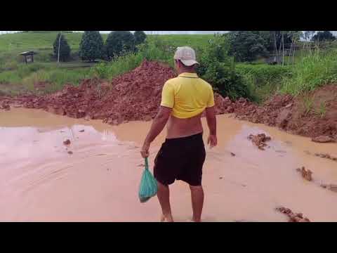 Morador denuncia trabalho em ramal em Porto Walter