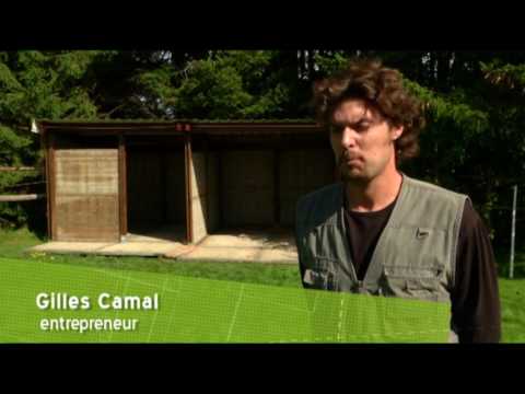 download lagu mp3 mp4 Leontine Van Leeuw, download lagu Leontine Van Leeuw gratis, unduh video klip Leontine Van Leeuw