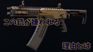 R6sパート153　エラショが嫌われる理由