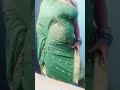 No Blouse No Bra Saree Draping Vlog Hot Bhabi Live Video Hot Bhabi