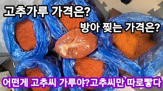 어떤게 고추씨 가루일까? 고춧가루 와 씨의 비율 동네 고춧가루가격은?~고추,춧가루가격