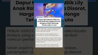 Jadi Anak Raffi & Nagita, Segini Harga Dapur Mini Mewah Lily, Dibanderol Fantastis Capai Rp 2,3 Juta