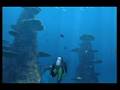 Endless Ocean Trailer E3 2007(Wii) 