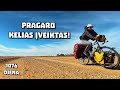 Australija Kietas Riešutėlis 43