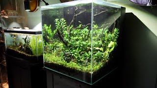 Hydra 4 Month Update