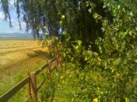 Sat Peteni, Comuna Zăbala, Jud. Covasna