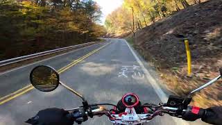 How fast can a Honda Monkey make it up my mountain?