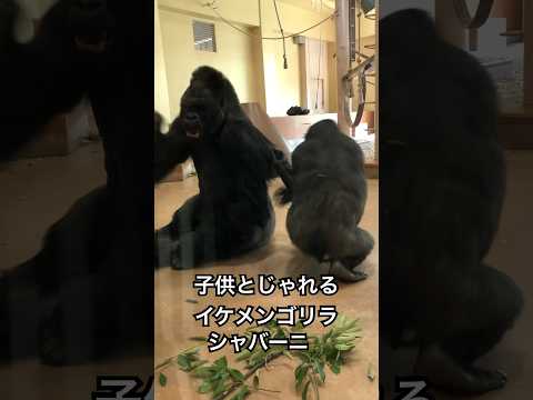 フォワ・シャバニー・マリー症候群