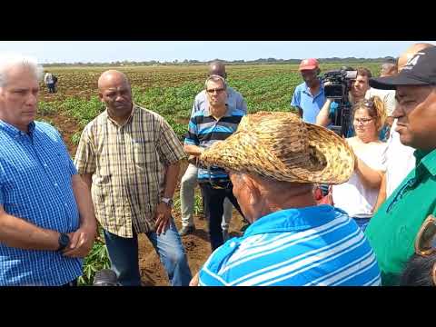 Díaz-Canel en "Amancio" con campesinos #LasTunas mayo 2024