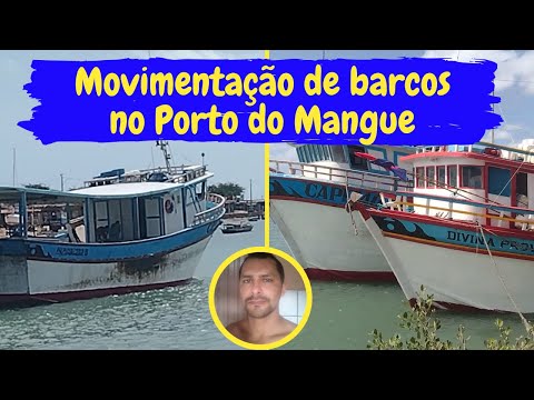 Movimentação de barcos no Porto do Mangue