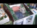 Hydroelectric power plant working model 