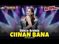 Shinta Arsinta Ciinan Bana Sagita Djandhut Assololley Dangdut Official Music Video