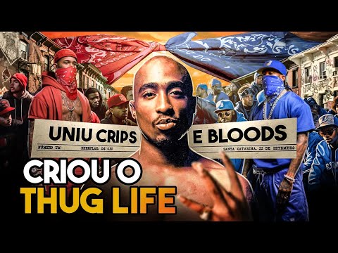 5 TUPAC ABSURDITIES