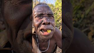 That's Chief Oldman Eating Natural Root's😋 See Meal of hadzabe hunt's#bushmen #culture #africa