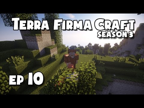 TerraFirmaCraft - S3 #10 - Blacksmith