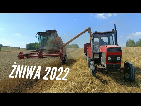 Żniwa 2022! Ursus 912 & Autosan D47, Massey Ferguson 31, Zetor 12245 & HW 8011!