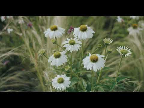 Aparthotel VillaVerde bei Meran - Für Liebhaber besonderer Unterkünfte