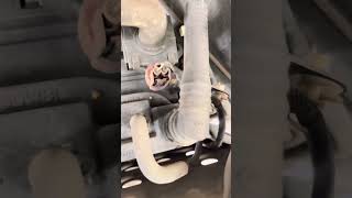 2001-2005 Honda CR-V vapor canister vent solenoid replacement