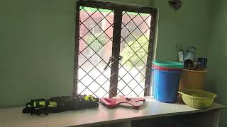 Loreto Convent School Video