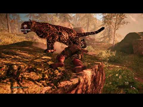 Zagrajmy w Far Cry Primal odc.13 Polowanie i atak na niebieskich wrogów