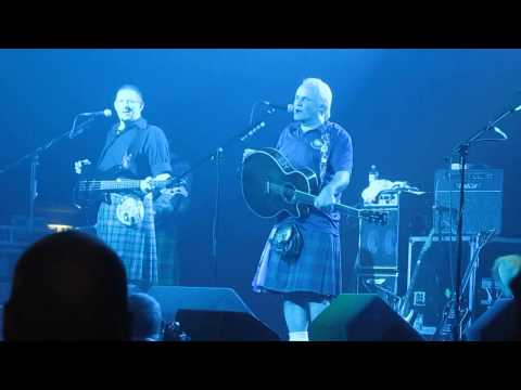 Ginger pubes are acceptable