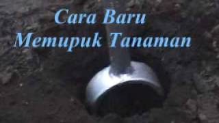 preview picture of video 'Cara Baru Memupuk Tanaman'