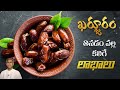 Amazing Health Benefits of Dates | How to use Dates | Dr. Manthena Official