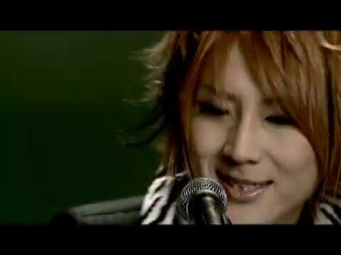 Focus - Vidoll