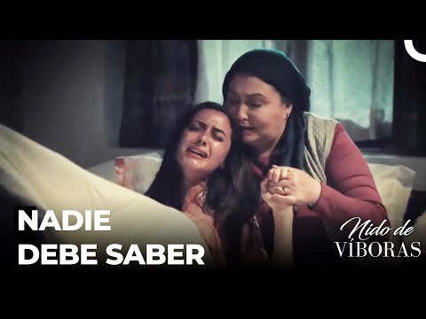 El Secreto Del Niño De Elvan - Nido De Víboras