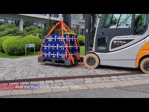 Flexi Giant Profesional Automatinis juostinis pavadėlis, 10 m / šunims iki 50kg / spalva: juoda ir pilka video