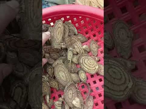 Dây Gắm Là Gì? Công Dụng Và Cách Dùng Đúng Chuẩn | Chữa Gout Tự Nhiên