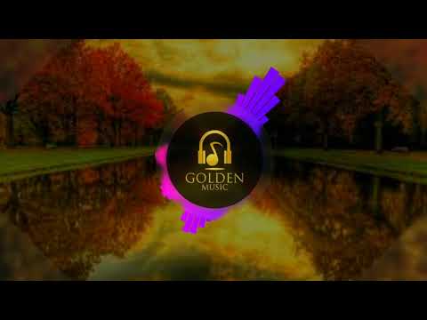 🎵 T-FEST & MICHELLE ANDRADE - PAPI (JARICO REMIX)🎵