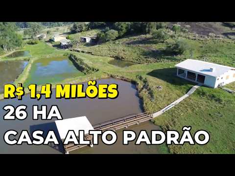 Vídeo