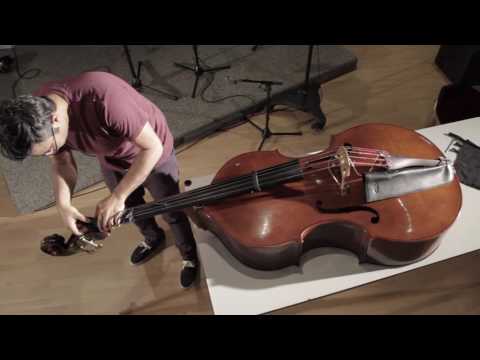 Travel Double Bass Detachable Neck - Adam Ben Ezra