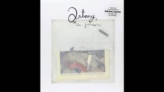 Antony and the Johnsons - "I'm in love"