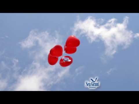 15 Second Science - Hang on to that balloon!